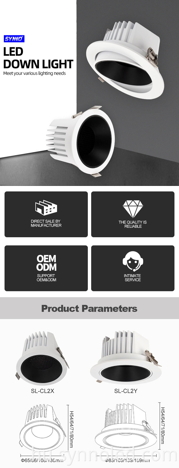 Adjustable Angle Downlight